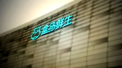 盒马进军物流新赛道 上海成立科技公司拓展外卖递送服务